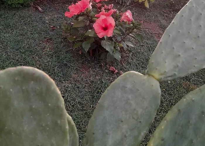 Alojamento de Acomodação e Pequeno-almoço Il Gabbiano Cittadella del Capo